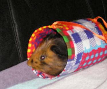 Grote Cavia-website - Speelgoed - Michelle's stoffen